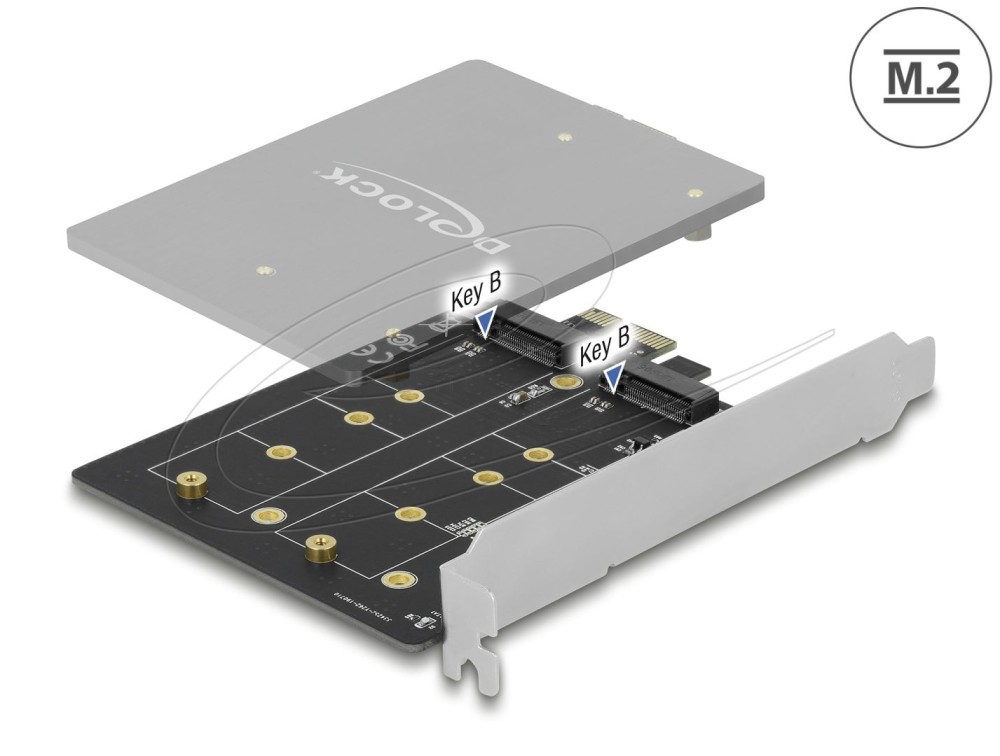 DeLock PCI Express x1 Card to 2 x internal M.2 Key B