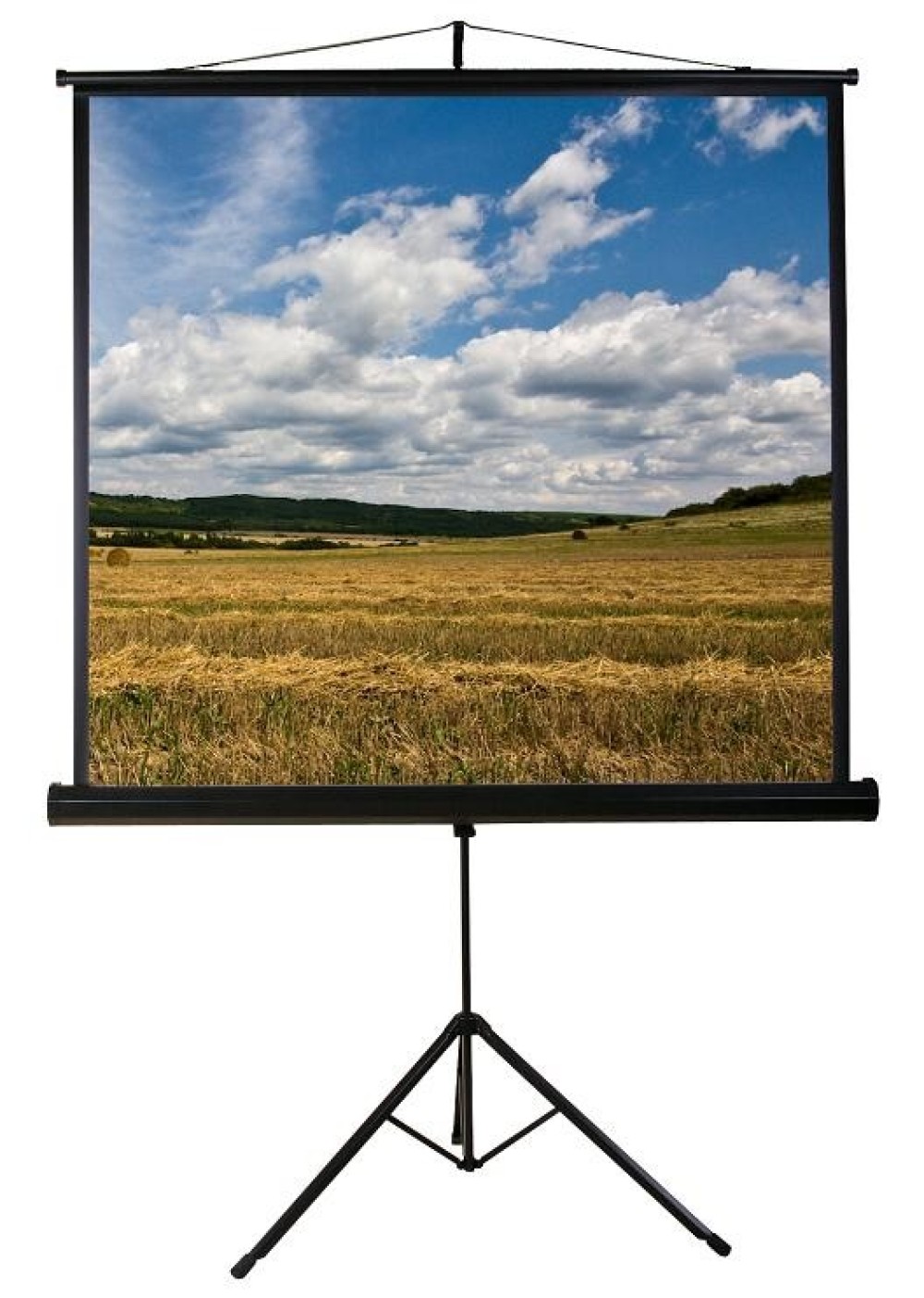 Funscreen Matt White Tripod 183x244 cm Format 4:3