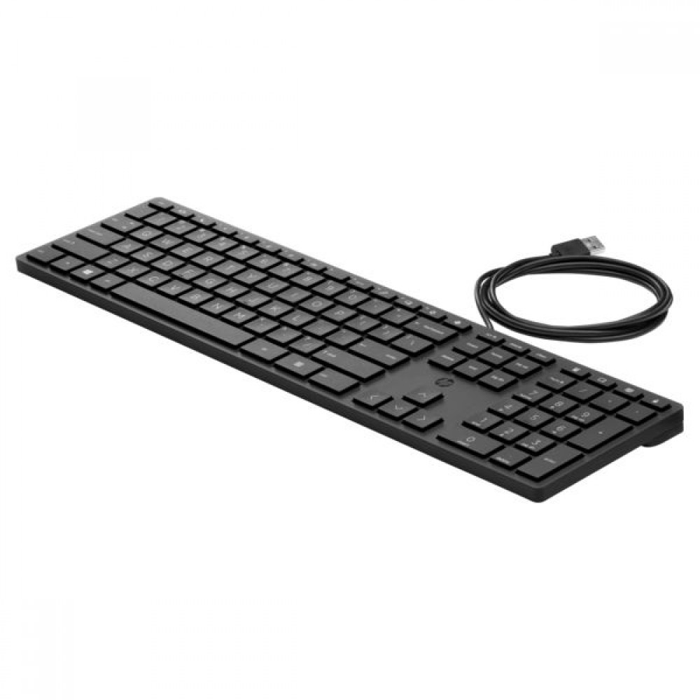 HP 320K Wired Desktop Keyboard Black HU