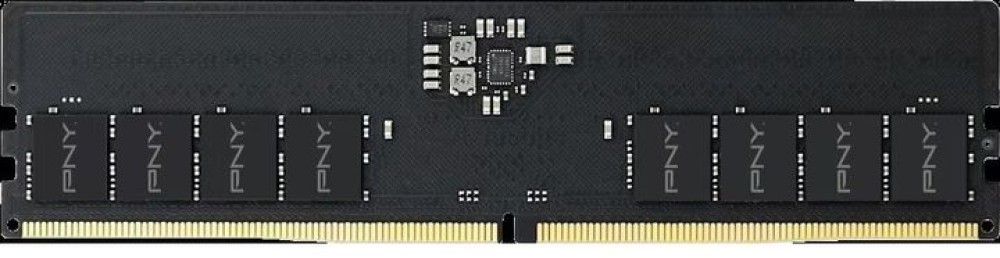 PNY 8GB DDR5 5600MHz Performance OEM