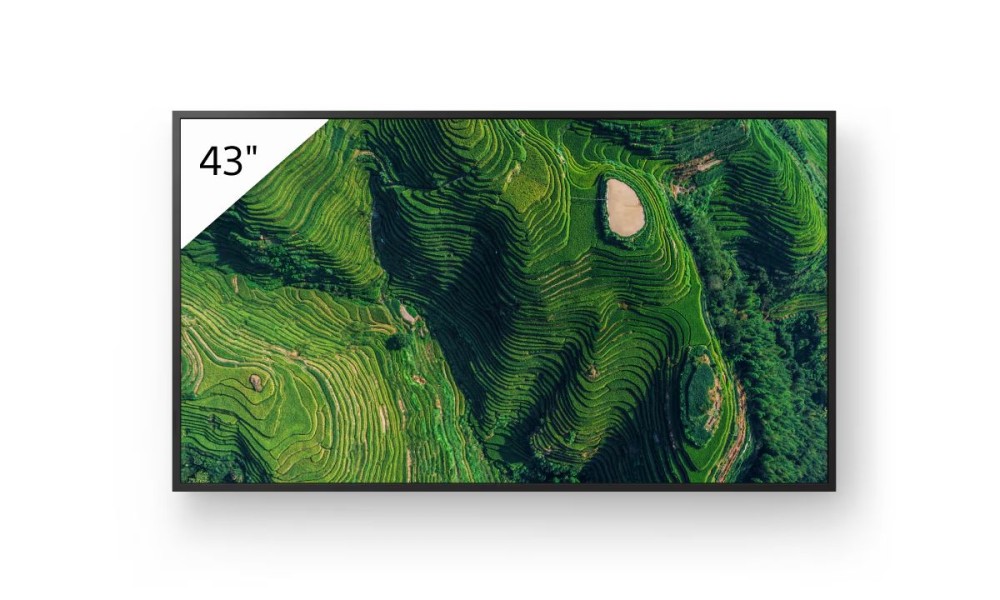Sony 43