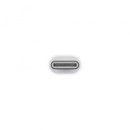 Apple USB-C to Lightning Adapter