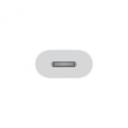 Apple USB-C to Lightning Adapter