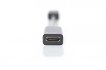 Assmann DisplayPort - HDMI Adapter/Converter cable 0,15m Black