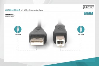 Assmann USB 2.0 connection cable, type A - B