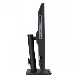 Asus 23,8