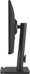 Asus 23,8