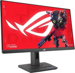 Asus 24,5