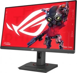 Asus 24,5