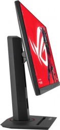 Asus 24,5