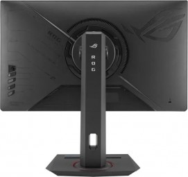 Asus 24,5