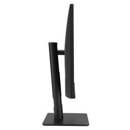 Asus 31,5