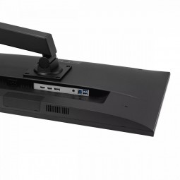 Asus 31,5