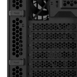 Asus ProArt PA401 Wood Edition Black