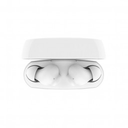 Belkin SoundForm Rhythm Bluetooth Earbuds White