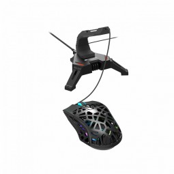 Canyon WH-100 2in1 Gaming Mouse Bungee stand and USB 2.0 hub Black