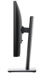 Dell 19