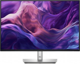 Dell 24