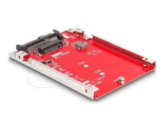 DeLock 2.5″ Converter U.3 SFF-8639 to M.2 NVMe Key M