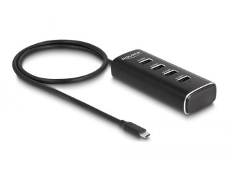 DeLock 4 Port USB 10 Gbps Hub with USB Type-C connector 60 cm Cable and Switch for each port