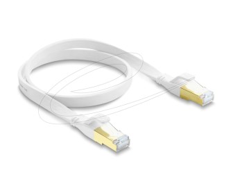DeLock CAT8.1 U-FTP Patch Cable 0,5m White
