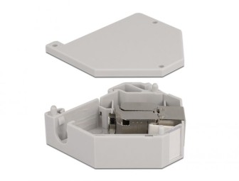 DeLock DIN sín adapter Keystone modullal RJ45 anya Cat.6A LSA
