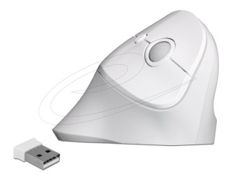 DeLock Ergonomic Wireless vertical Mouse White