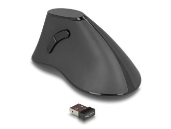 DeLock Ergonomic Wireless Vertical Silent Mouse Black