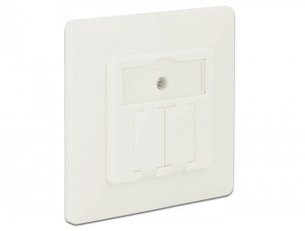 DeLock Keystone Wall Outlet 2 Port compact