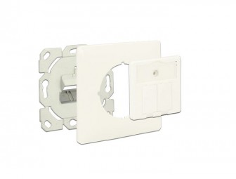 DeLock Keystone Wall Outlet 2 Port compact