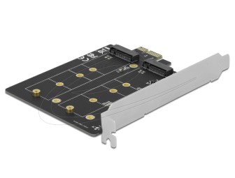 DeLock PCI Express x1 Card to 2 x internal M.2 Key B