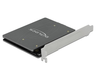 DeLock PCI Express x1 Card to 2 x internal M.2 Key B