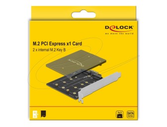 DeLock PCI Express x1 Card to 2 x internal M.2 Key B