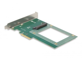DeLock PCI Express x4 Card to 1 x internal U.2 NVMe SFF-8639