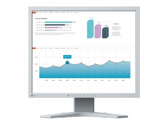 Eizo 19