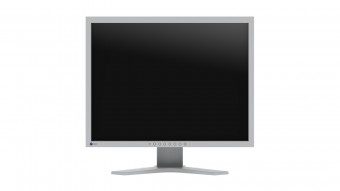 Eizo 21,3