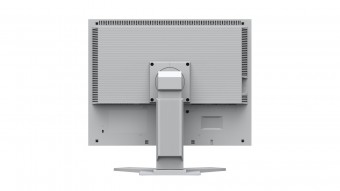 Eizo 21,3