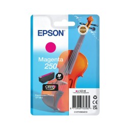 Epson Epson Ink C13T16N34010 / 250 Magenta