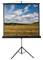 Funscreen Matt White Tripod 183x244 cm Format 4:3