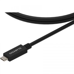 Gigabyte 20WC1-UCCB1B-10R 1m Black