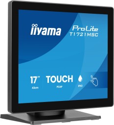 iiyama 17