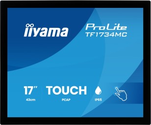 iiyama 17