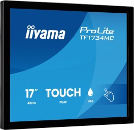 iiyama 17