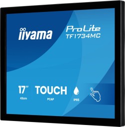iiyama 17