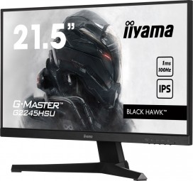 iiyama 21,5