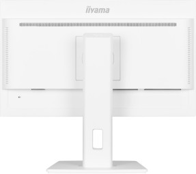 iiyama 23,8