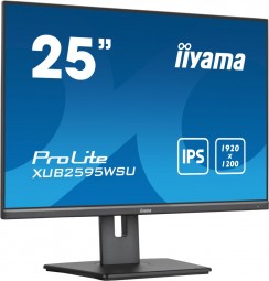 iiyama 25