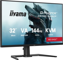 iiyama 31,5