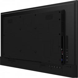 iiyama 31,5