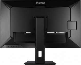 iiyama 31,5